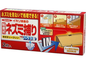 y񂹁zCJ ϐ`[N nEX^ 2   E | K[fjO