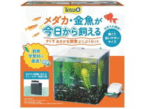 楽天市場】テトラ 水槽セット（水槽・アクアリウム｜熱帯魚 