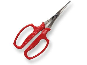 y񂹁zAXR[|[V ԂǂE Ȑn ܓ 321DX-M nT~ _ _Ǝ |pi Ɨpi H