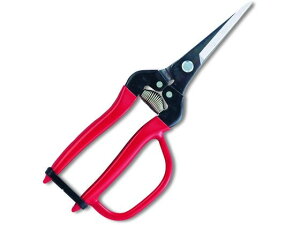 y񂹁zAXR[|[V EʃGLXgOK[ht 300LL-G-BP nT~ _ _Ǝ |pi Ɨpi H