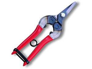 y񂹁zAXR[|[V ̉  310 nT~ _ _Ǝ |pi Ɨpi H