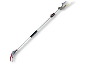 y񂹁zAXR[|[V Y[`L`gR ̏W^ 160ZTR-2.0-3D nT~ _ _Ǝ |pi Ɨpi H