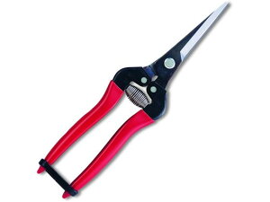 y񂹁zAXR[|[V EʃGNXgO 300LL-BP nT~ _ _Ǝ |pi Ɨpi H