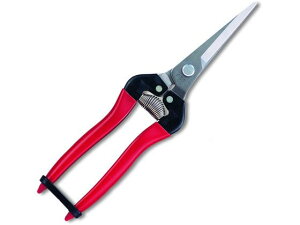 y񂹁zAXR[|[V EʃGNXgOXeX 300LL-DX-BP nT~ _ _Ǝ |pi Ɨpi H