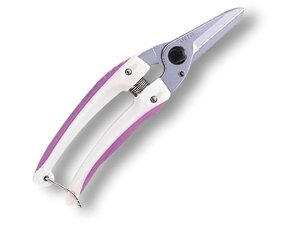 y񂹁zAXR[|[V t@~[ oCIbg 140DX-V nT~ _ _Ǝ |pi Ɨpi H