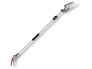 y񂹁zAXR[|[V Y[`L`gR ^ 190ZTR-2.1-3D nT~ _ _Ǝ |pi Ɨpi H