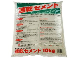 y񂹁zƒ뉻wH Zg 10kg