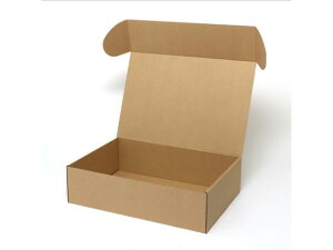 y񂹁zwCR[ i`{bNX Z-9 n 10 006200910 Mtg{bNX   bsO