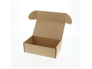 y񂹁zwCR[ i`{bNX Z-11 n 10 006201110 Mtg{bNX   bsO