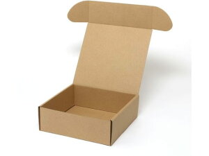 y񂹁zwCR[ i`{bNX Z-19 n 10 006201910 Mtg{bNX   bsO