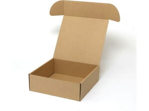 【お取り寄せ】ヘイコー ナチュラルボックス Z-22 プレート6枚用 無地 10枚