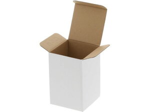 y񂹁zwCR[ t[{bNX F-55 n 10 006205510 Mtg{bNX   bsO