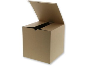 y񂹁zwCR[ i`{bNX Z-34 n 10 006203410 Mtg{bNX   bsO