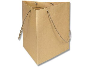 【お取り寄せ】ヘイコー 手提げ紙袋 トライバッグ No.3 未晒無地 10枚