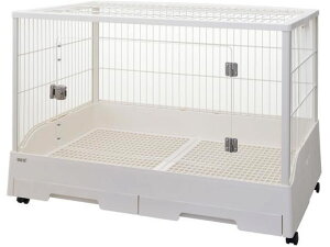 y񂹁zWFbNX NAtg80 P[W L[  ybg ETM nX^[