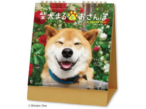 y񂹁zV{J_[  Č܂Ƃ NK8529