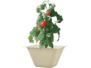 y񂹁zV| oKXO[ ~jg}g 93235