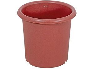 y񂹁zLIV PLUS xXgR Aؔ  |bg 10 eRb^