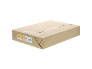 �󂠂�)���R�[ �����R�s�[�p�� A3 110Kg 500�� 901568 A3�T�C�Y �R�s�[�p��