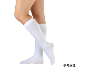 y񂹁zAPA AVNEvJ nC\bNX  L 17422 eXgbLO Ö\h Íޗ Ō 