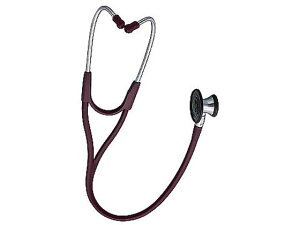 y񂹁zEF`EA G[gf o[KfB 5079-270 f  ff f@ u Ō 