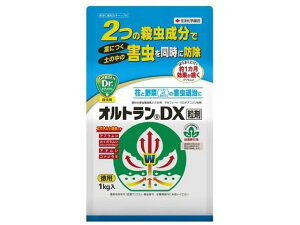 y񂹁zZFw| IgDX(ܓ) 1kg E   | K[fjO