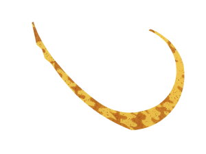 y񂹁zWbJ rrXCb`T+lN^C}CNJ[[Ch GrI A[֘Ai A[ ֘Ai ނ AEghA