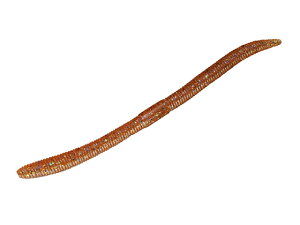 y񂹁zWbJ tbNVFCN3.8 RUJiu[t[N oX \tgA[Xg[g[ A[ tbVEH[^[ ނ AEghA