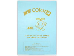 y񂹁zĐFp l ݂ 100 4NCR-211 Fp l } H  wpi