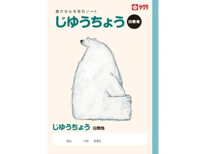 TNNpX wK 䂤傤 NP80 R 䂤傤 nm[g wK m[g