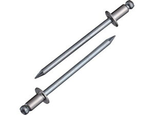 y񂹁zGr uChxbg(XeX/XeB[) 4-2(1000{)  NSS42 {g ˂ B f Ɨpi H