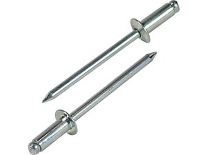 y񂹁zGr uChxbg(XeB[/XeB[) 5-5(1000{)  NS55 {g ˂ B f Ɨpi H