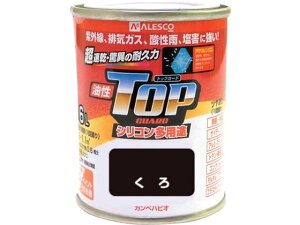 y񂹁zKANSAI Jy gbvK[h1.6L 00017640021016 h h {  y z