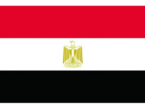 y񂹁z No.1(70×105cm) GWvgEAu 416163 SW XebJ[  S 