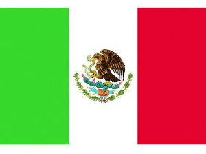 y񂹁z No.1(70×105cm) LVR 416761 SW XebJ[  S 