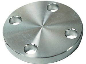 y񂹁zt[o SUS304 10K ~tW 14100575 SUS-10K-BL-FF-50A ^|vi zC rC  u  p