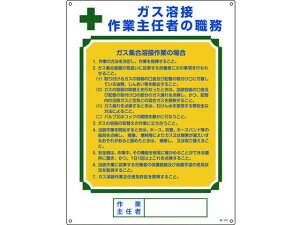 y񂹁zƎCҐEW KXnڍƎC҃KXWn E