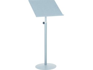 y񂹁zWRITEBEST fBXvCX^h O[ DS88G