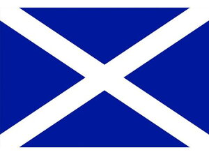 y񂹁z (16×24cm)XRbgh 406351 SW XebJ[  S 