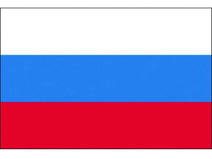 y񂹁z (16×24cm)VA 406871 SW XebJ[  S 