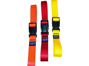 y񂹁zCETACEA EFrOXgbv IW IDQR2S04ORNG xgג@  