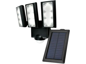 d \[[ ZT[Cg ESL-313SL OZT[Cg OƖ Cg Ɩ Ɠd