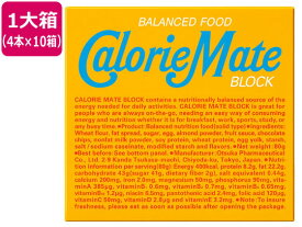 大塚製薬 カロリーメイトブロック バニラ味(4本入り)×10箱 カロリーメイト バランス栄養食品 栄養補助 健康食品