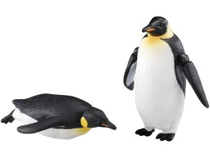 y񂹁z^Jg~[ AjA AS-11 REeCyM(ɕ) AjA l` ʂ  zr[ Q[ av