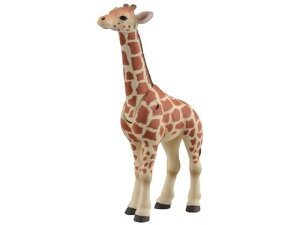 y񂹁z^Jg~[ AjA AS-12 L(qǂ) AjA l` ʂ  zr[ Q[ av