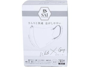  (SAI)̃}XN  30 zCg×O[ ӂ }XN @ ̂ fBJ