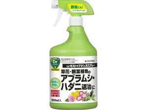 y񂹁zZFw| GF XgbvWR Xv[ 900ml E   | K[fjO