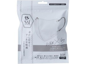  (SAI)̃}XN 10 zCg×O[ }XN @ ̂ fBJ
