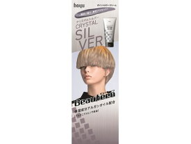 【お取り寄せ】ホーユー ビューティーン ポイントカラークリーム クリスタルシルバー 140g 黒髪用ヘアカラー ヘアカラー ヘアケア