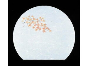 y񂹁zA[ebN ڎO ΃}bg RۉԘa100 ݂ Lb`G